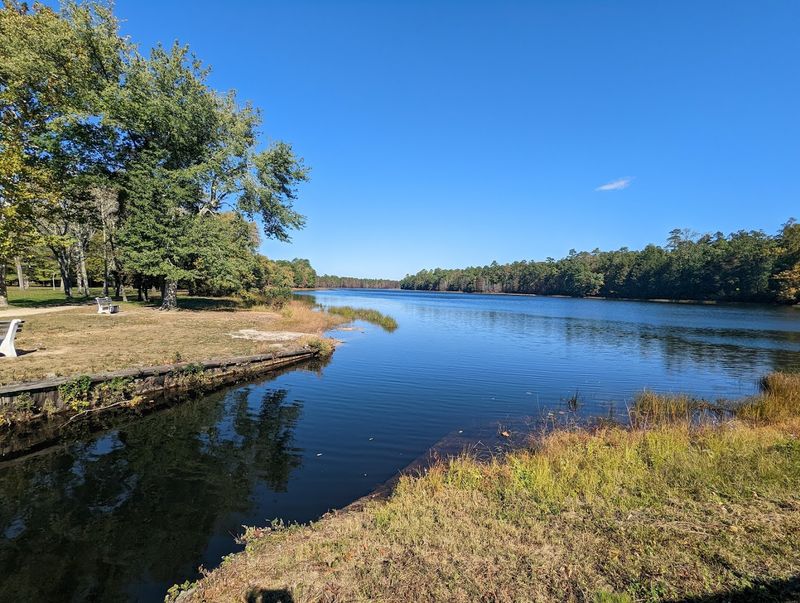 Batsto Village (Lake Trail)