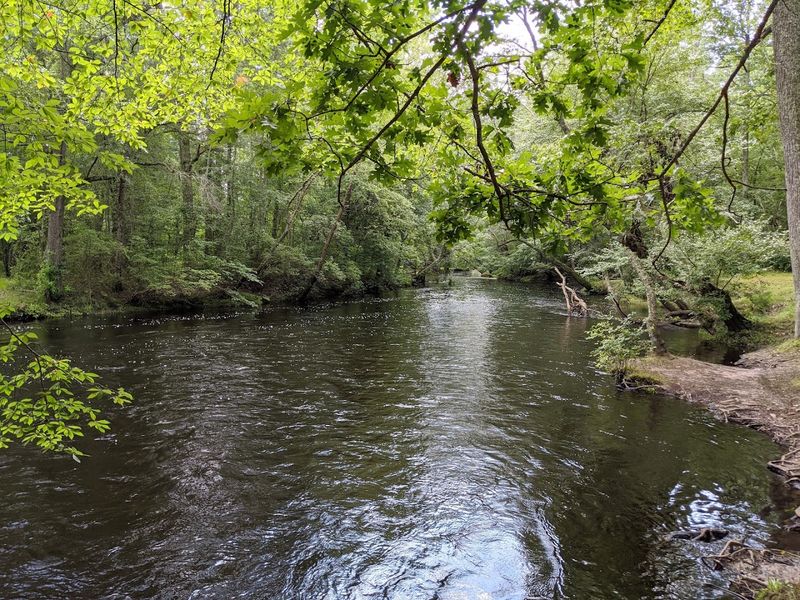 Great Egg Harbor River at Weymouth Furnace, New Jersey