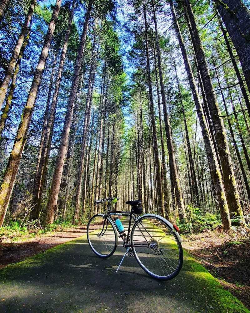 Banks-Vernonia State Trail, Banks to Vernonia, Oregon