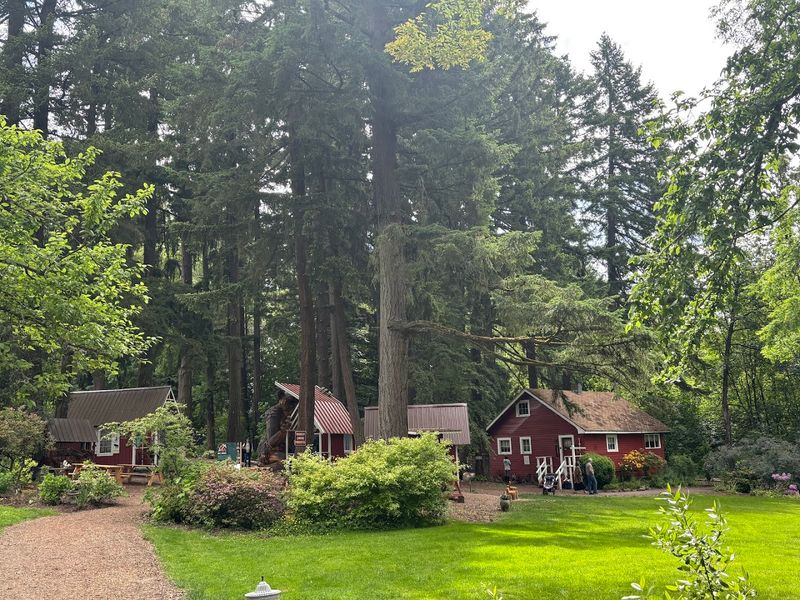 The Nordic Northwest Campus and Its Scandinavian Soul