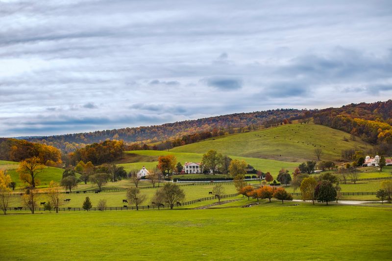 Sweeping Blue Ridge Mountain Views That Stop You in Your Tracks