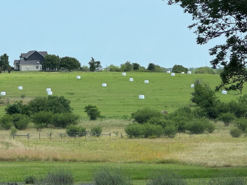 Fruit Trees and Seasonal Picking Add a Sweet Surprise