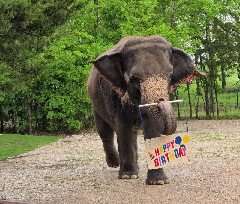 The Guided Tour Brings the Experience Full Circle