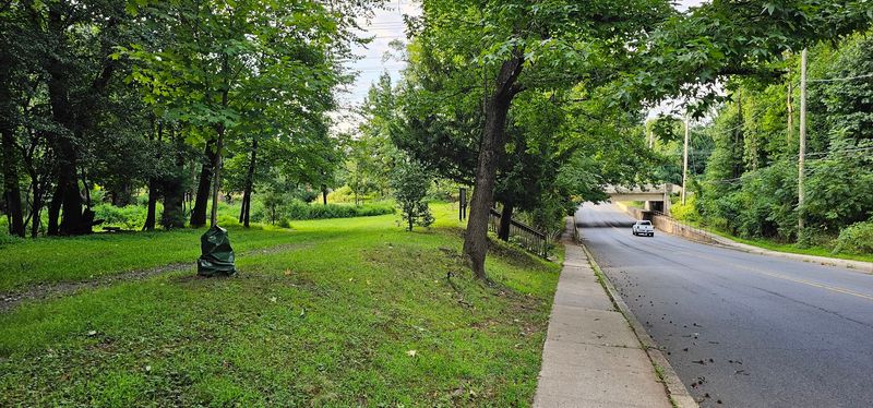 Centennial Park: Where Nature and Picnic Culture Collide