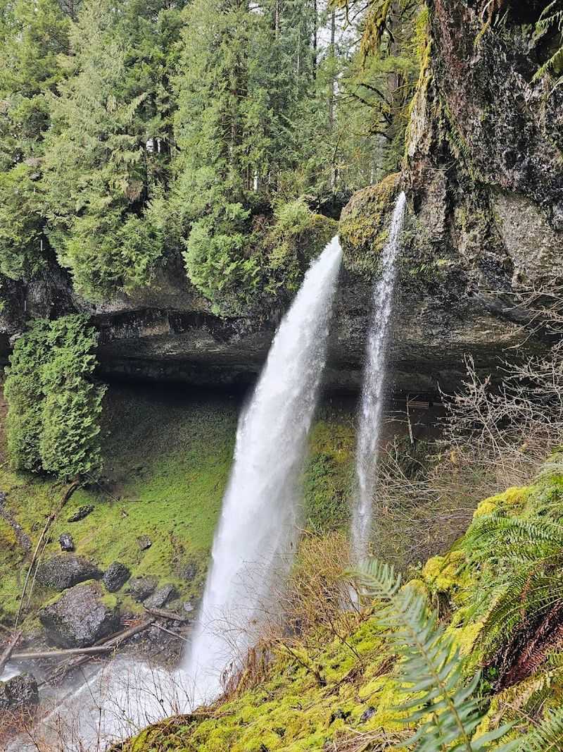 Twin Falls: Two Streams, One Stunning View