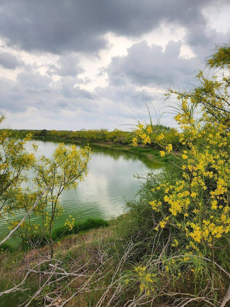 The Wetlands Are a World Unto Themselves