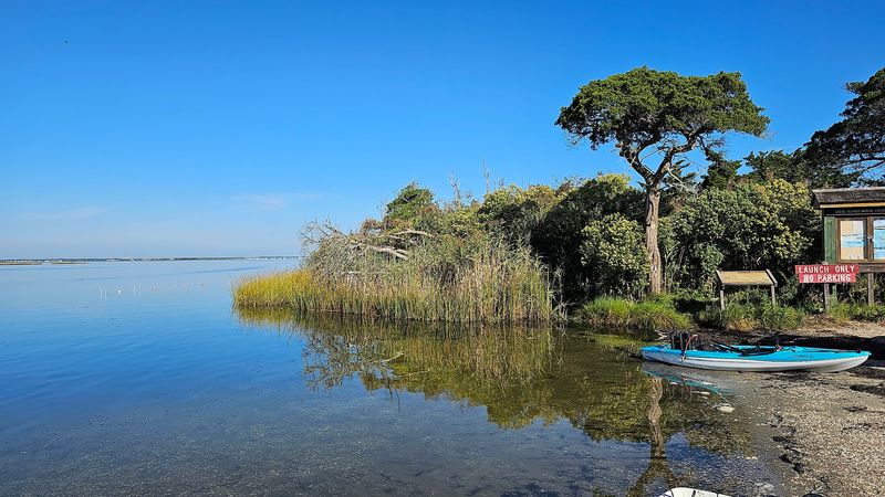 The Sedge Islands and the Bigger Ecosystem Picture