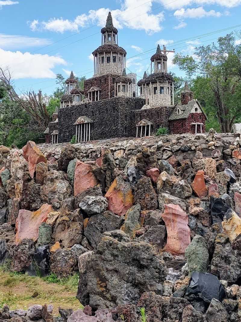 Petrified Wood Wonders Throughout the Grounds