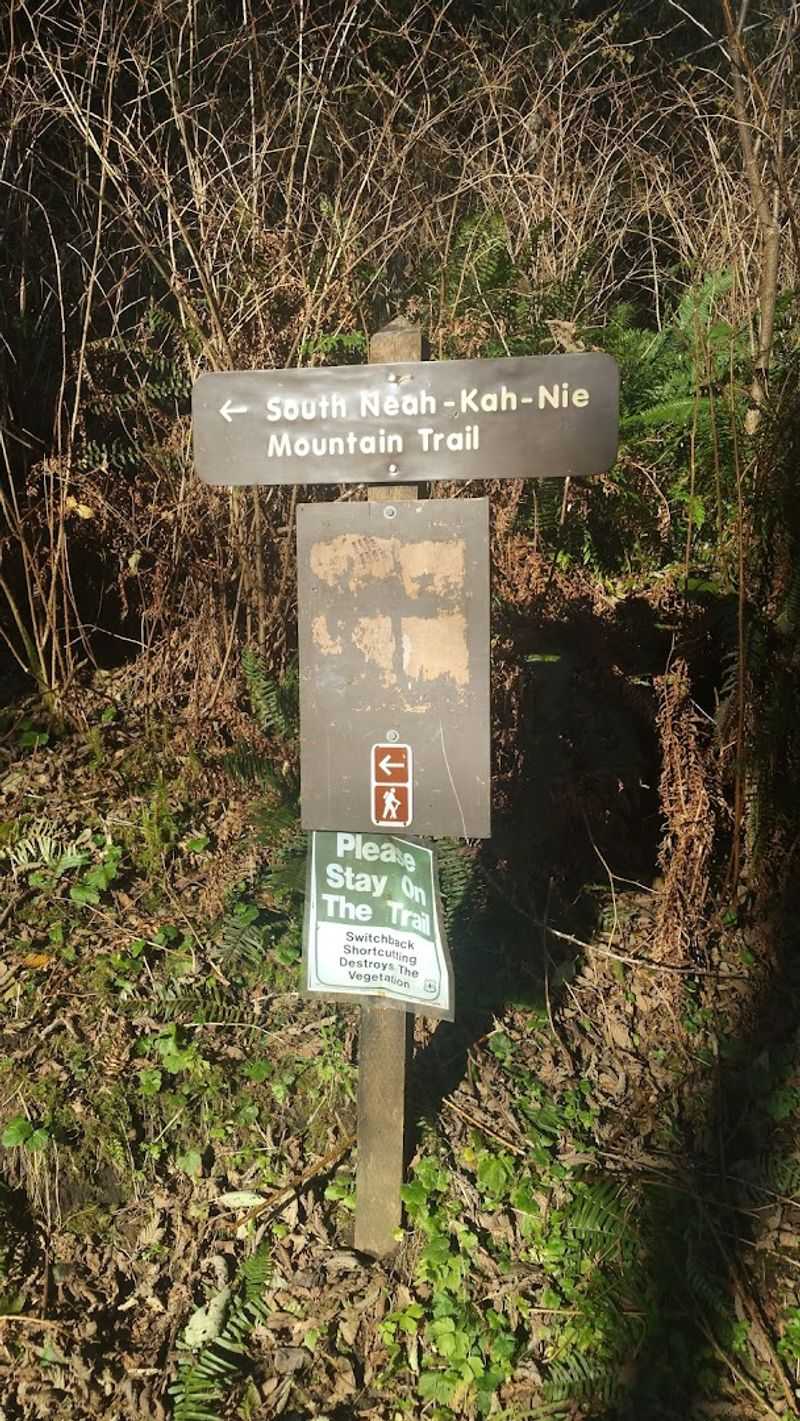 Neahkahnie Mountain Trail, Oregon Coast, Oregon