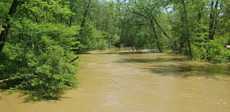 The River Itself is the Star of the Show