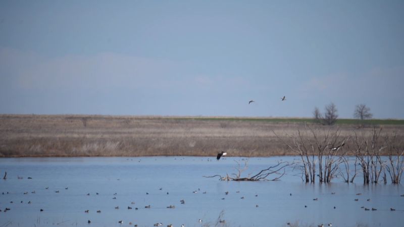 Sunsets at the Flat Are a Completely Unfair Display of Beauty