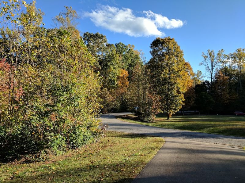 Mineral and Lake Anna