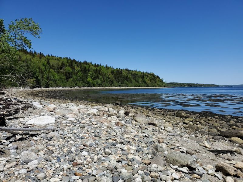 Sears Island Preserve