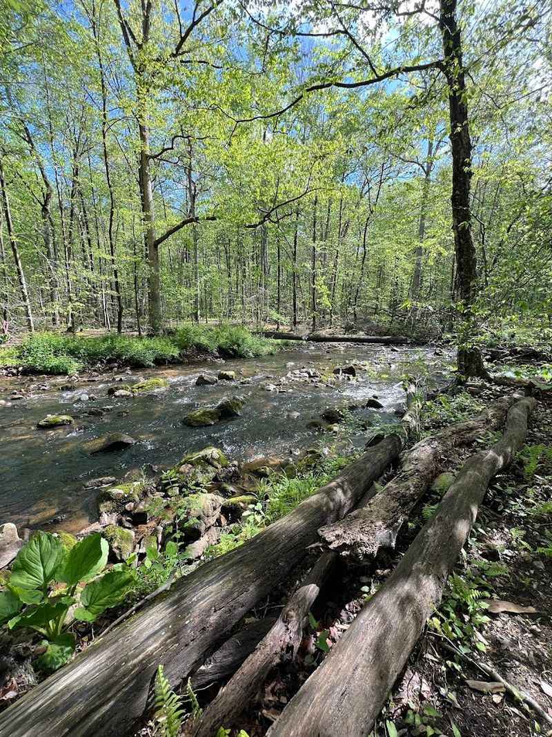 Trails That Range From a Gentle Stroll to a Proper Forest Hike