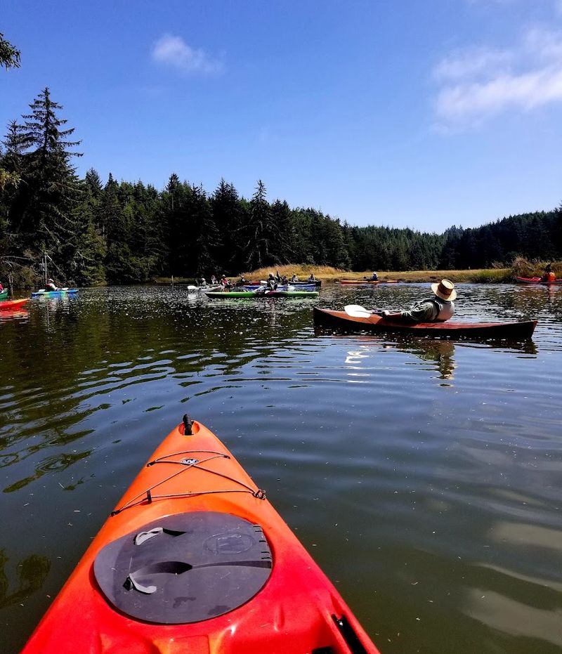 Kayaking and Paddling the Slough