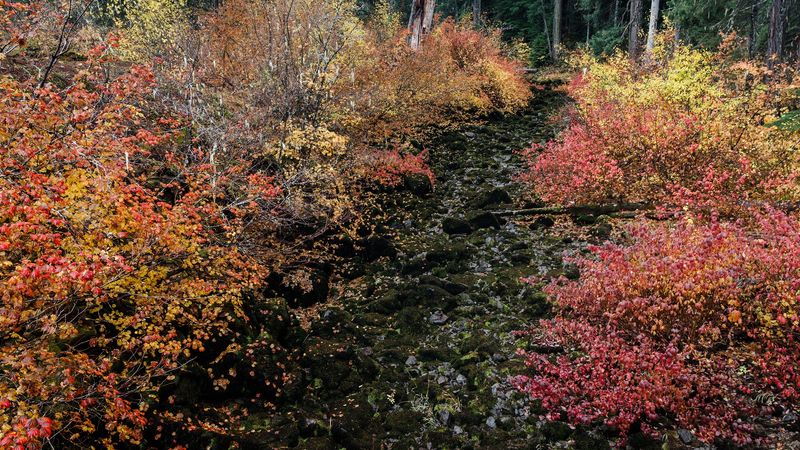 Autumn on the Trail: When the Colors Take Over