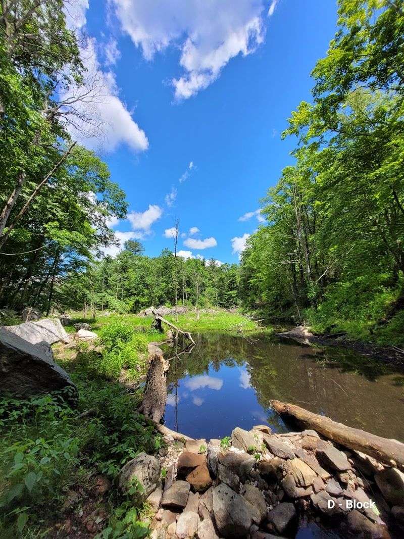 Hiking Routes for Every Skill Level