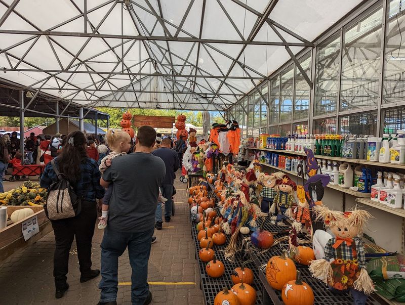 Seasonal Events That Keep People Coming Back Year After Year
