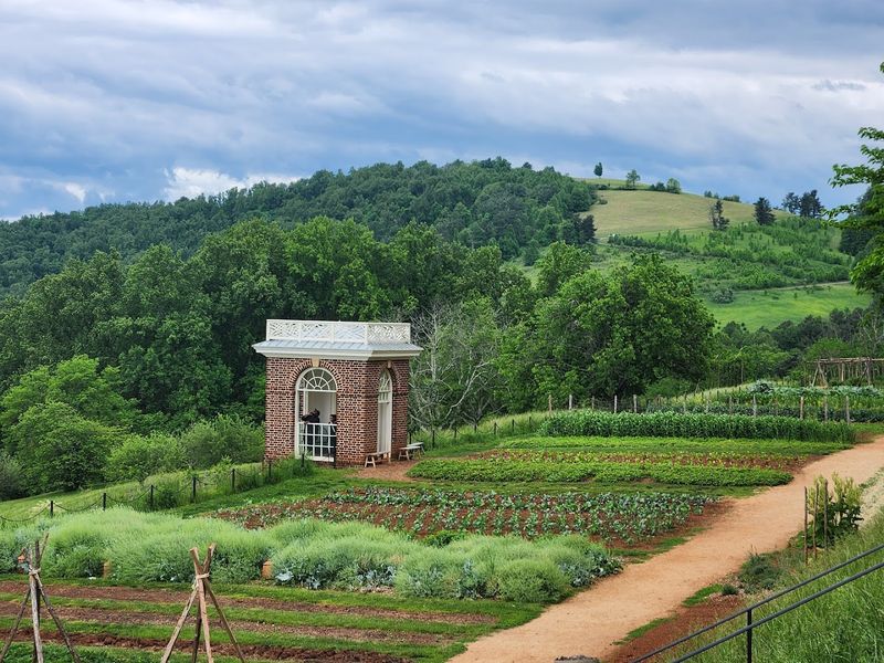The Gardens That Jefferson Obsessed Over for Decades