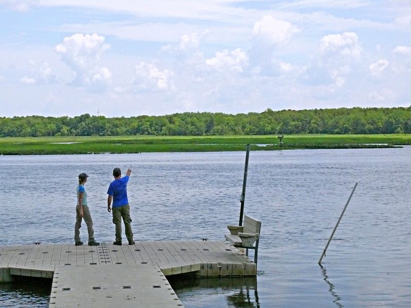 Maurice River at Mauricetown Park, New Jersey