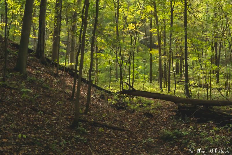 What to Do Nearby After Your Hike