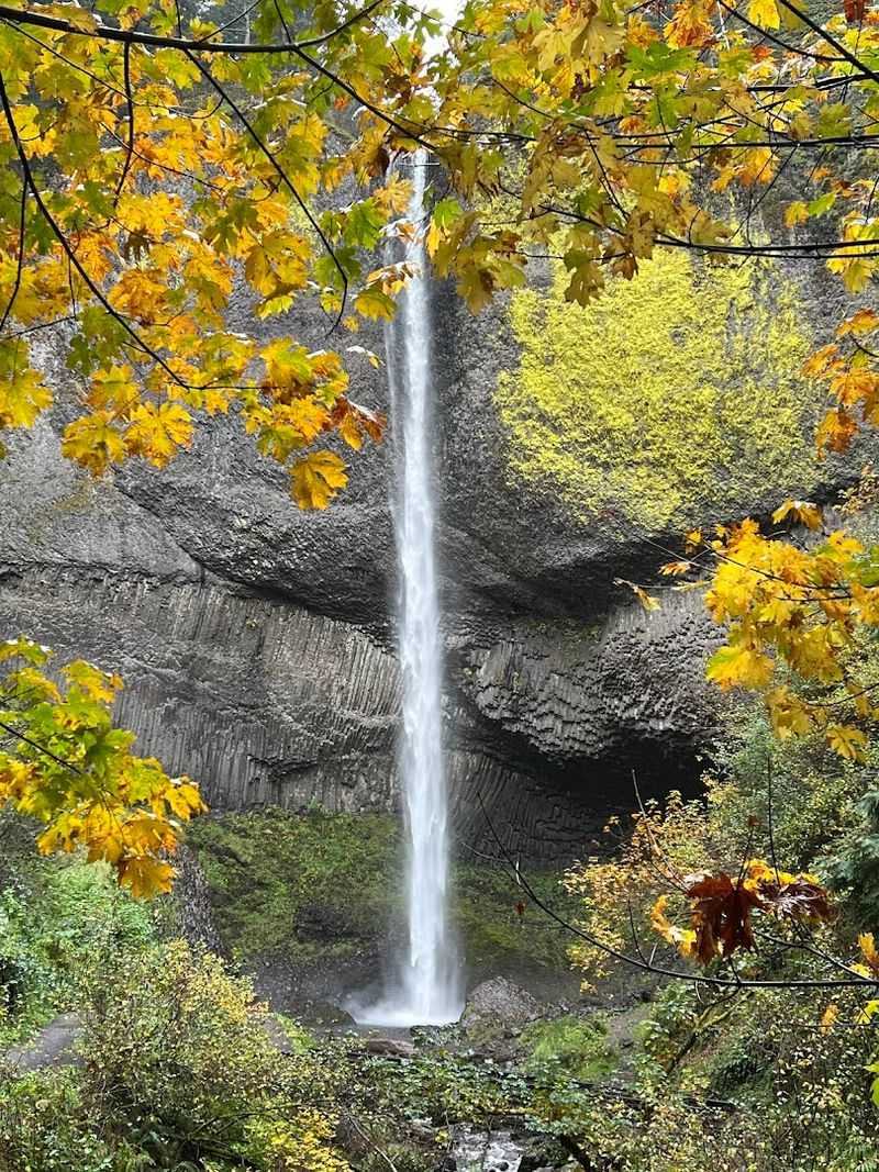 Latourell Falls and Its Basalt Canvas