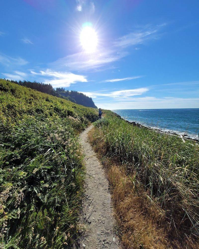 Forest Trails And Bluff Paths That Balance Out The Concrete