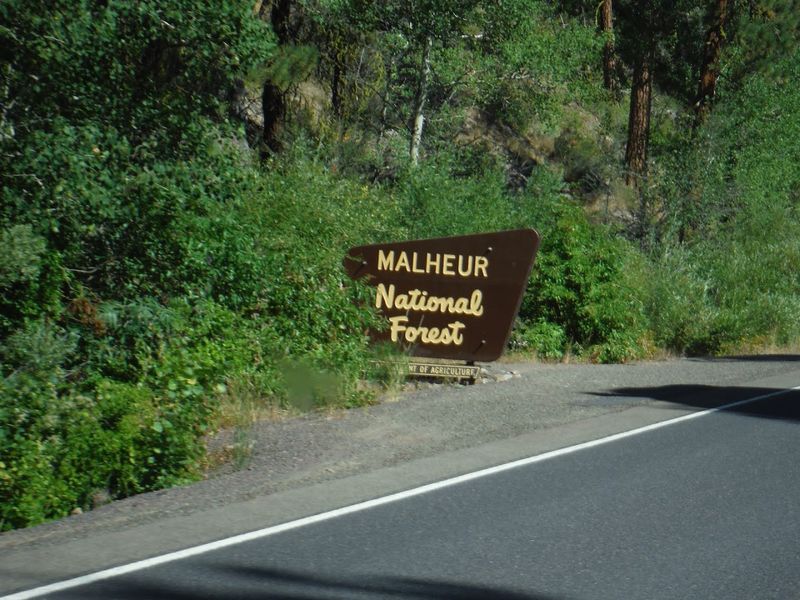 Planning Your Visit to Malheur National Forest