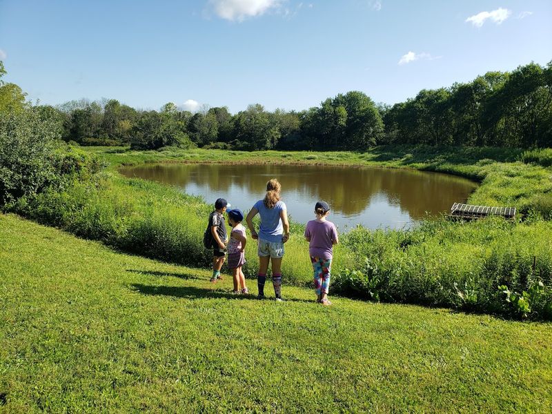 The Tree Frog Trail: Where Kids and Nature Collide
