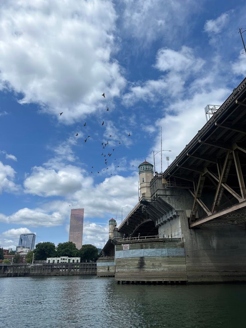 Bridge Views That Frame the River Perfectly