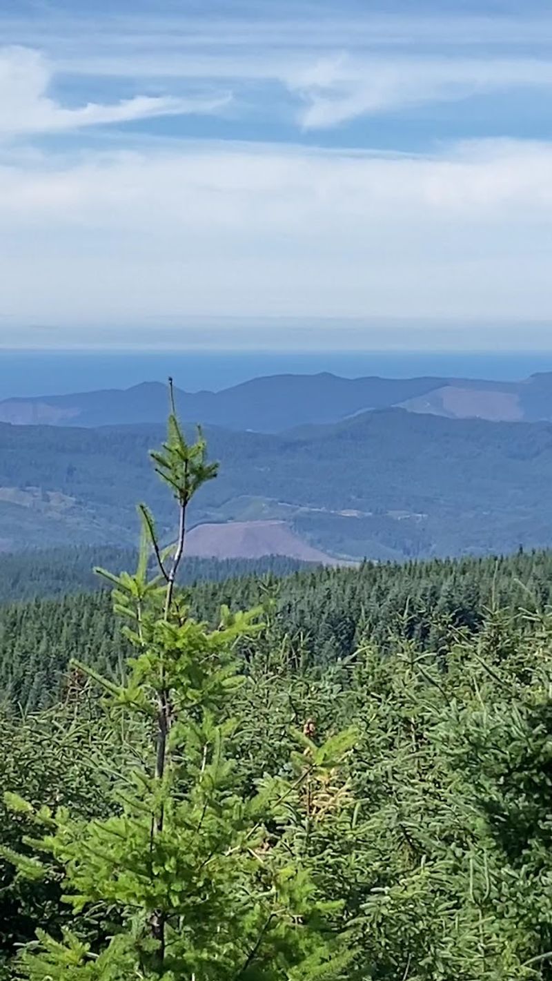 Mount Hebo Summit, Tillamook County, Oregon