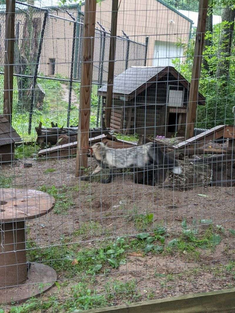 Educational Programs and Guided Tours Worth Every Minute