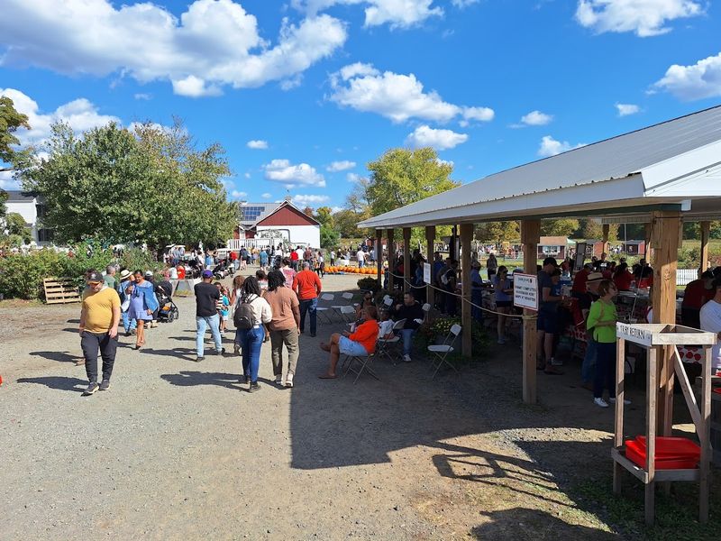 Seasonal Events That Turn a Farm Visit into a Celebration