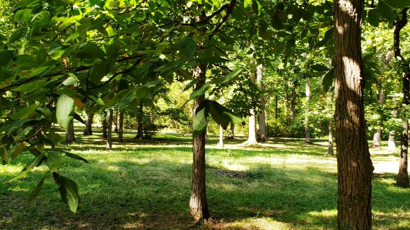 A Trail That Connects You to Indiana's Wild Side