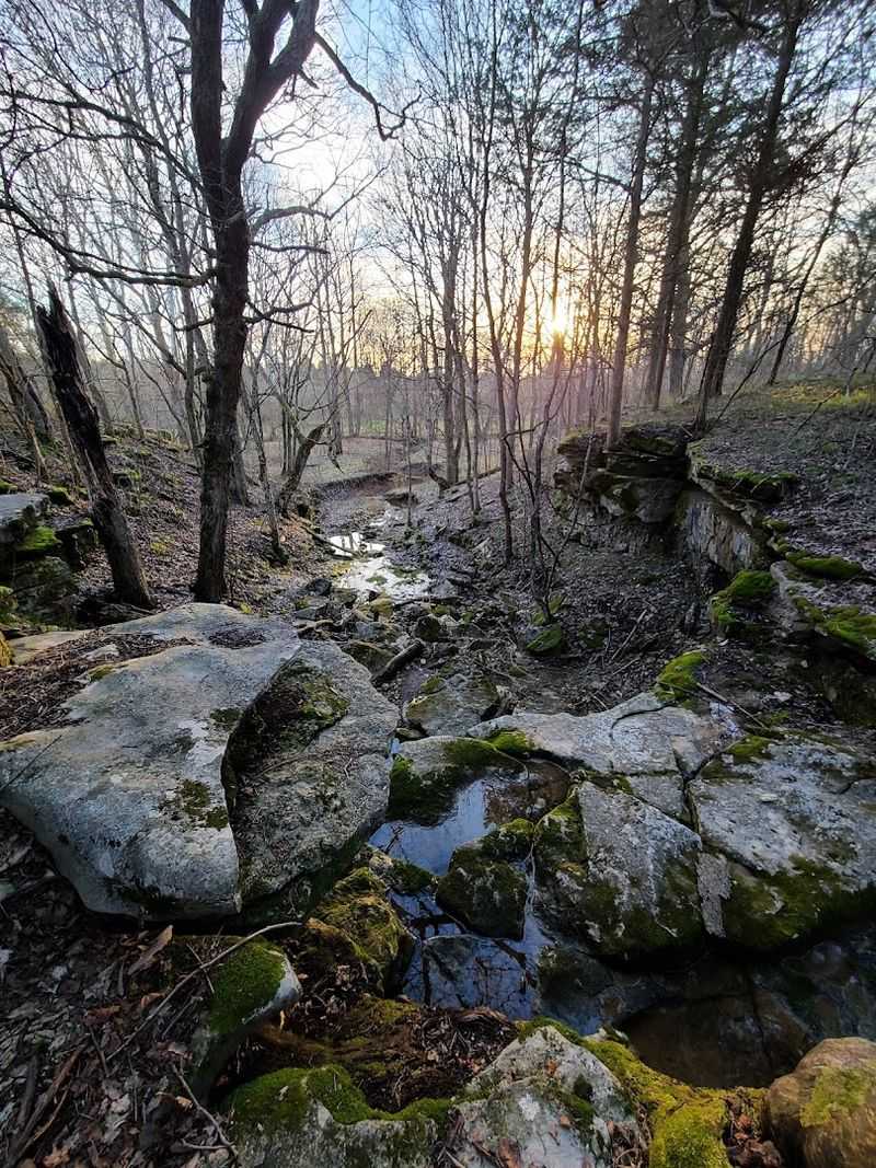 A Place That Sparks Wonder in Kids and Adults Equally