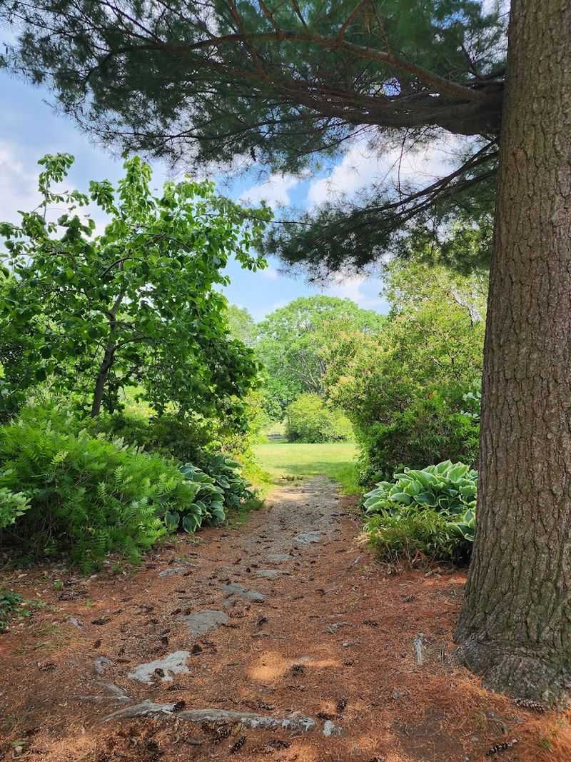 Exploring the Grounds: More Than Just a Pretty Walk