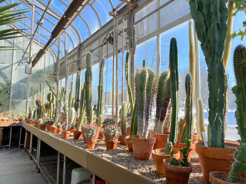 A Hidden Gem That Belongs on Every Bloomington Bucket List