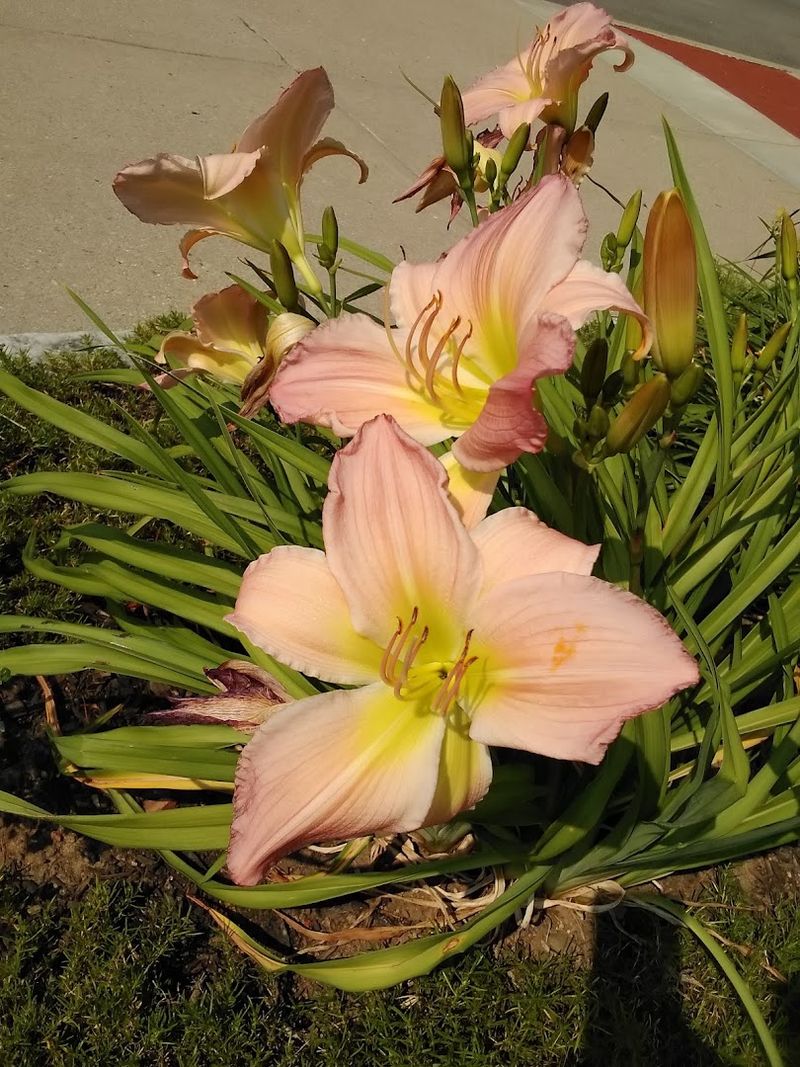 Why This Walk Stays With You Long After You Leave