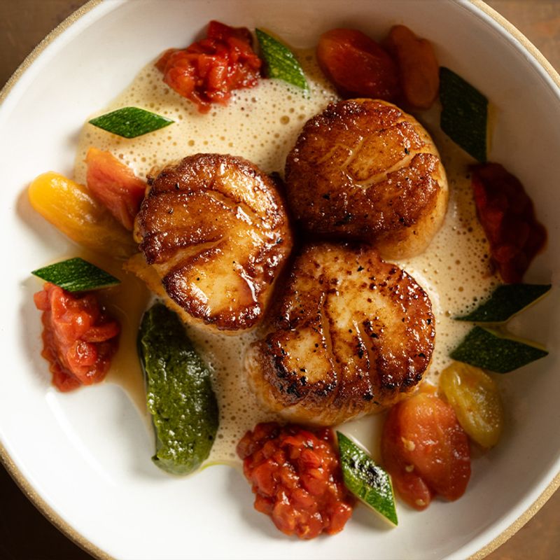 The Scallops, the Carpaccio, and the Dishes Worth the Drive