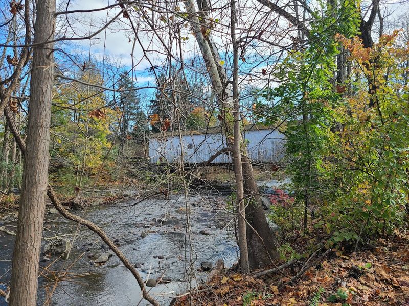 The Wickecheoke Creek Setting