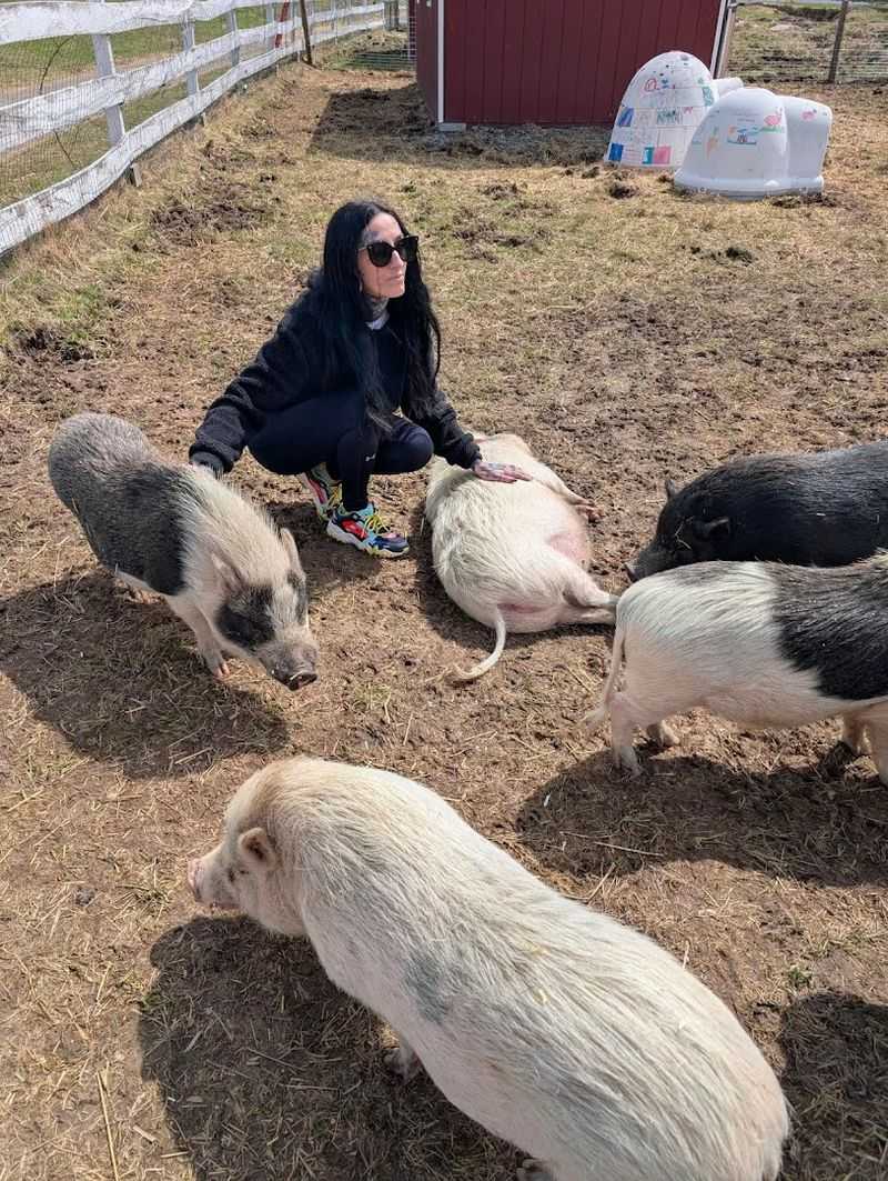 Tours That Actually Teach You Something