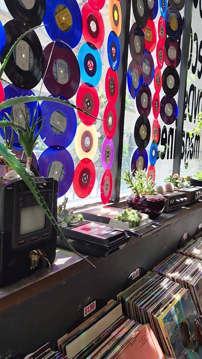 Vinyl And Record Crates That Turn It Into A Two-Hobby Visit