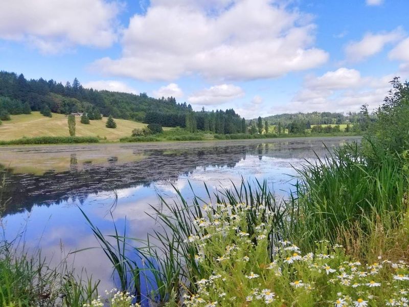 Oregon Coast Chowder Trail Tips and Planning
