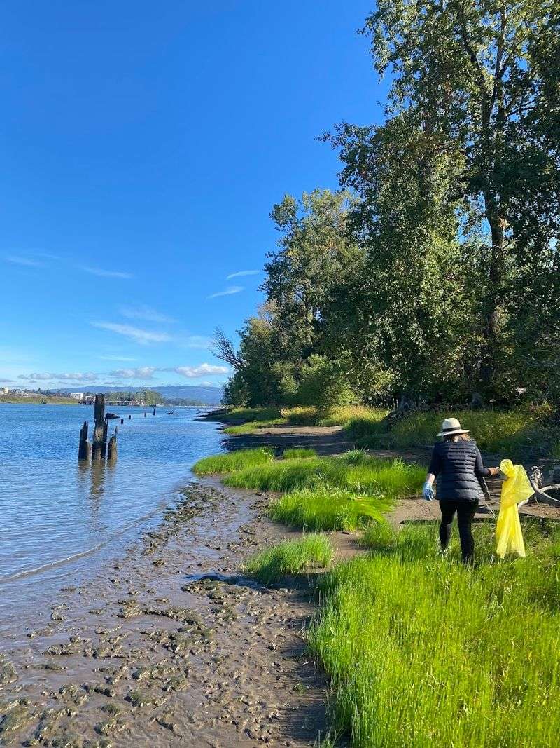 The Nature Trail That Runs Along the Water