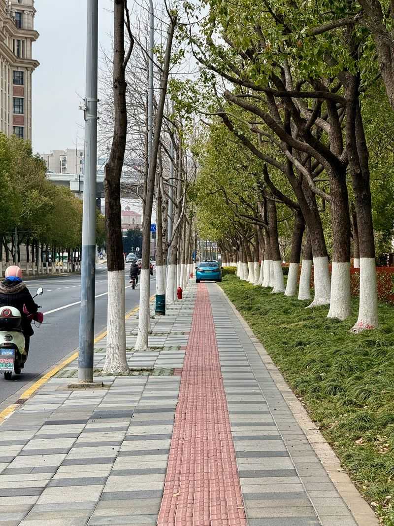No Spitting on Sidewalks in Portland