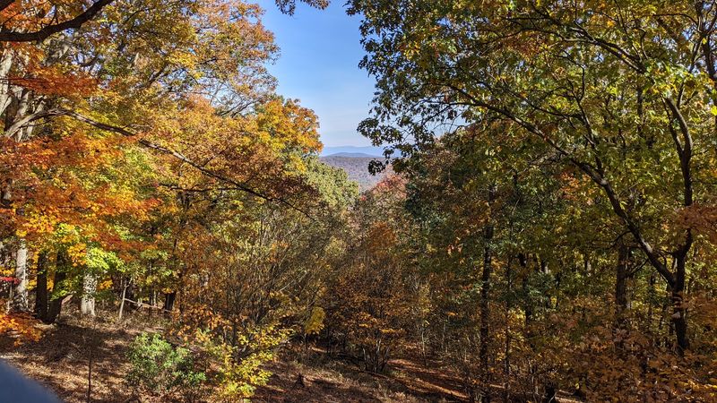 Wildlife and Nature Along the Trail: Virginia's Wild Side