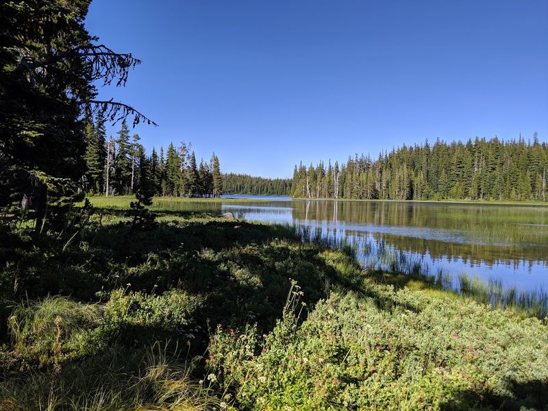 Breitenbush Lake Campground, Detroit, Oregon