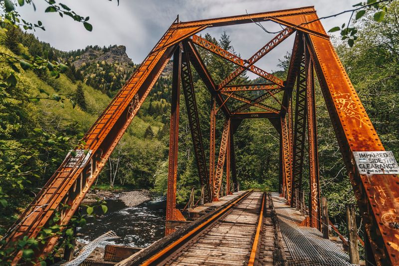 Salmonberry Trail, Oregon Coast Range, Oregon