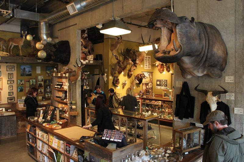 Paxton Gate, Portland, Oregon