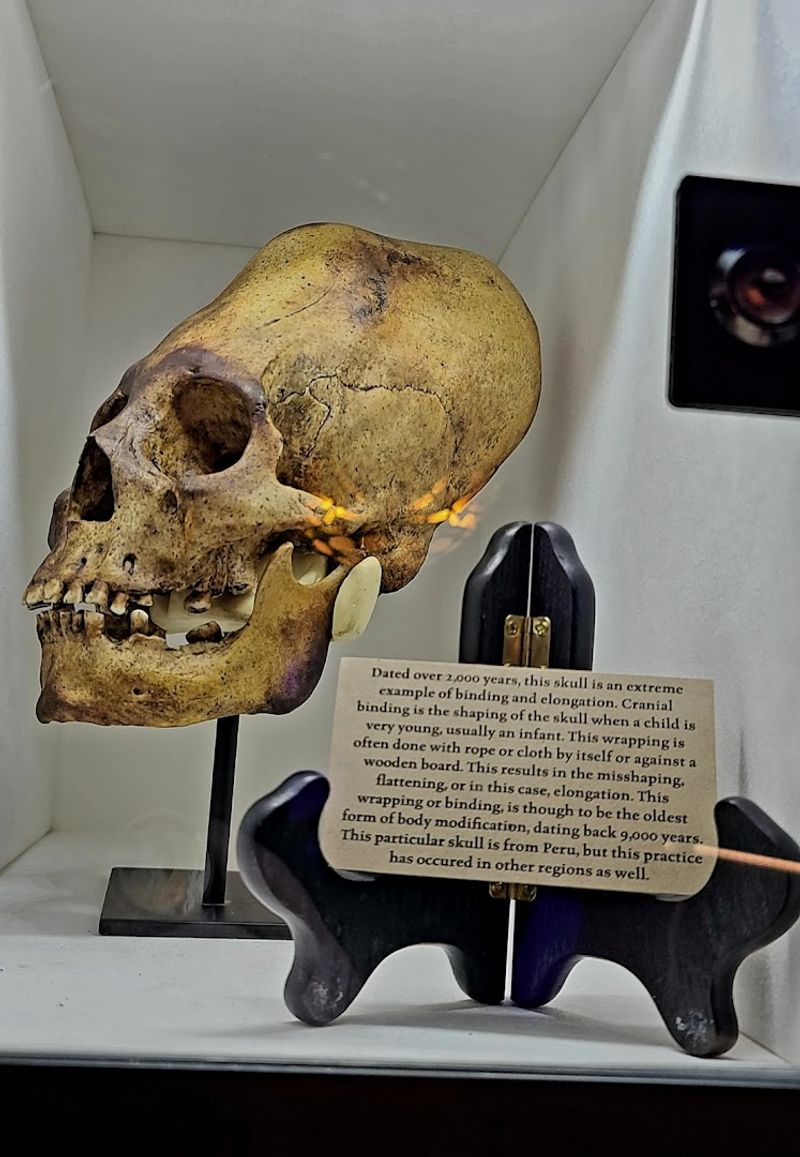 Practical Details Every Visitor Should Know Before Going